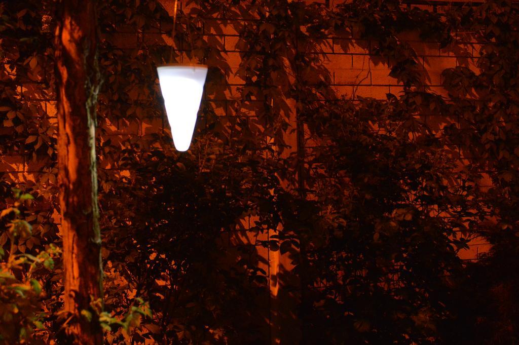 Exit Routine Hostel ทิมิชัวรา ภายนอก รูปภาพ