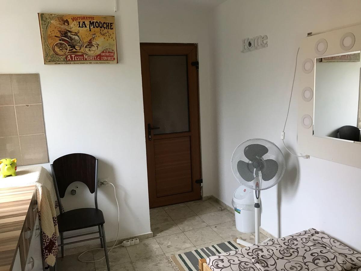 Exit Routine Hostel ทิมิชัวรา ห้อง รูปภาพ