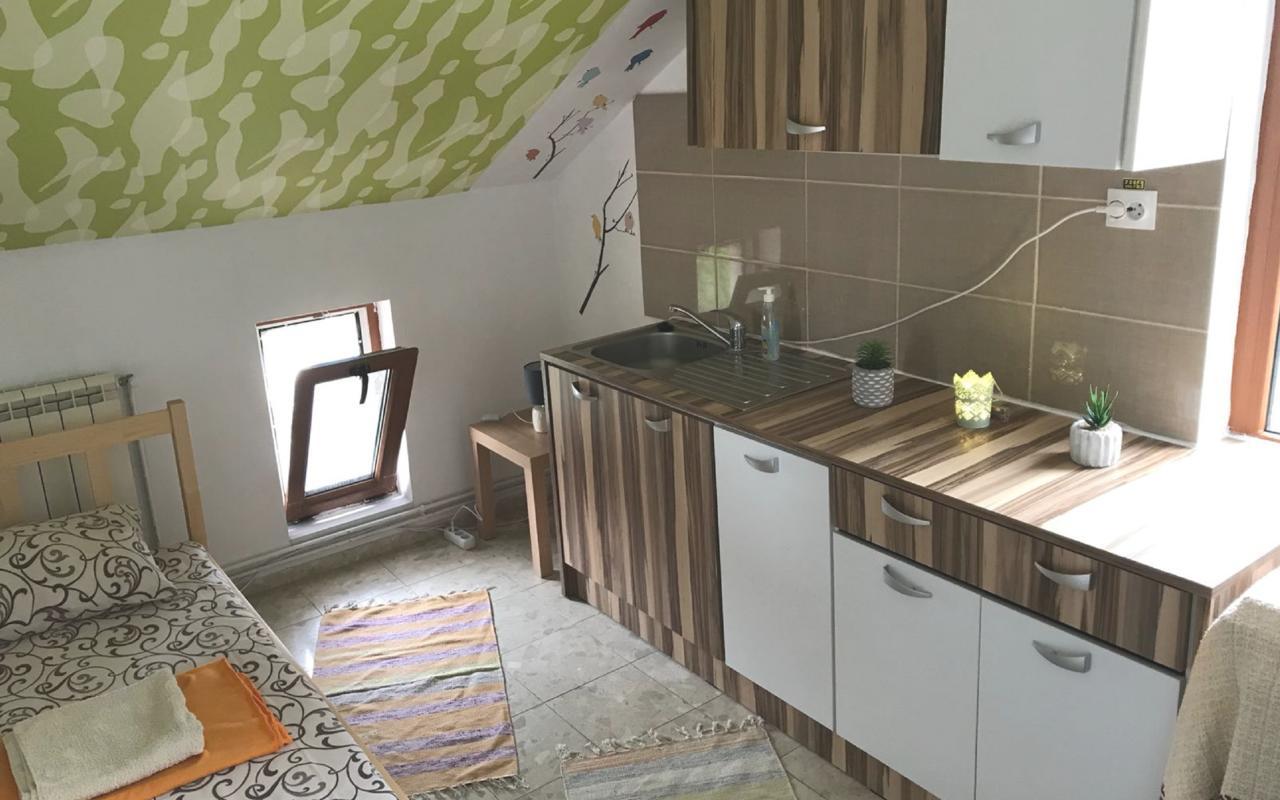 Exit Routine Hostel ทิมิชัวรา ภายนอก รูปภาพ